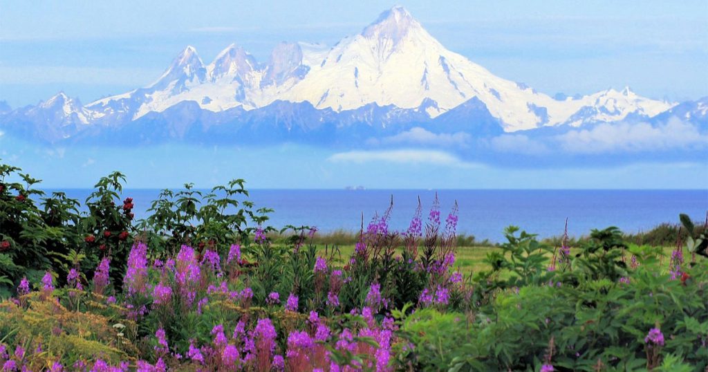 Alaska Springtime