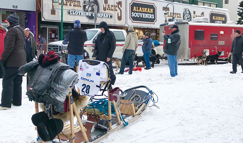 Iditarod Racers