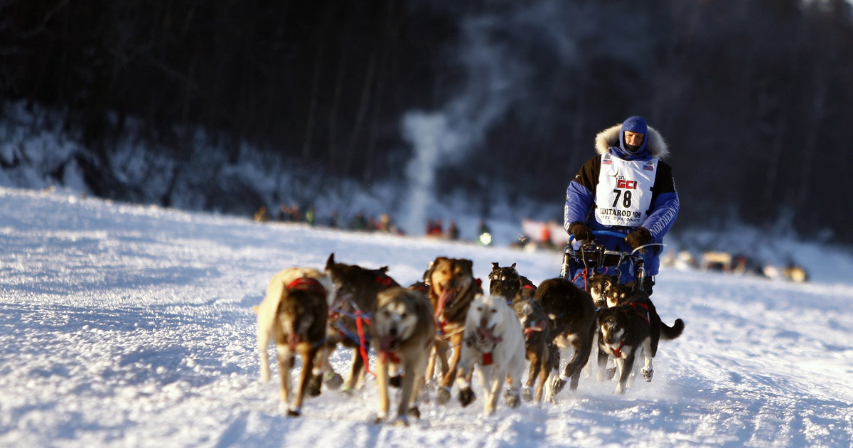 Iditarod Sled Dog Race