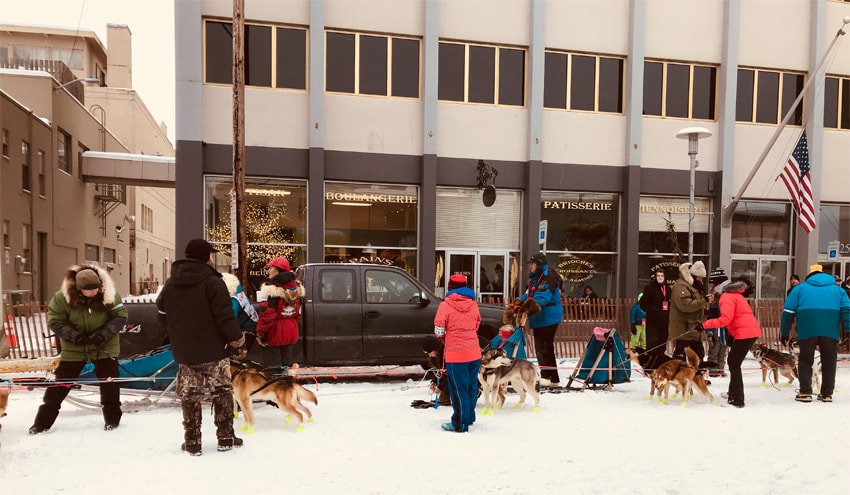 Iditarod Start