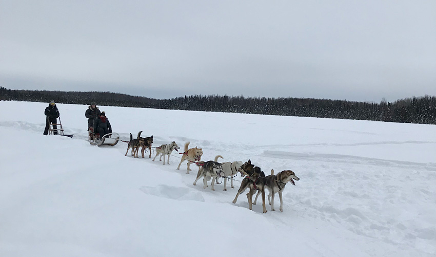 Iditarod Trail