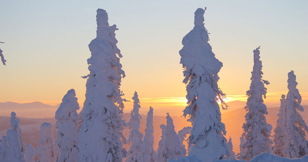 Sunset Ice Alaska Trees